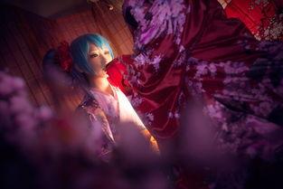 精品国产福利视频在线观看